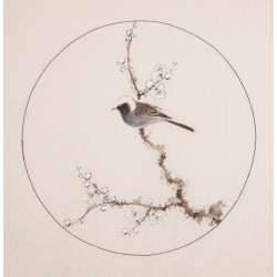 Plum - CNAG005994