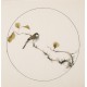 Other Birds - CNAG005995