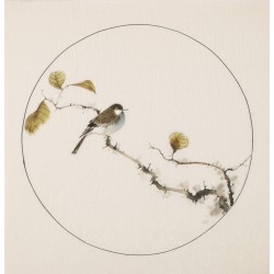 Other Birds - CNAG005995