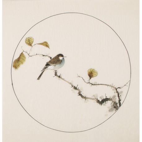 Other Birds - CNAG005995