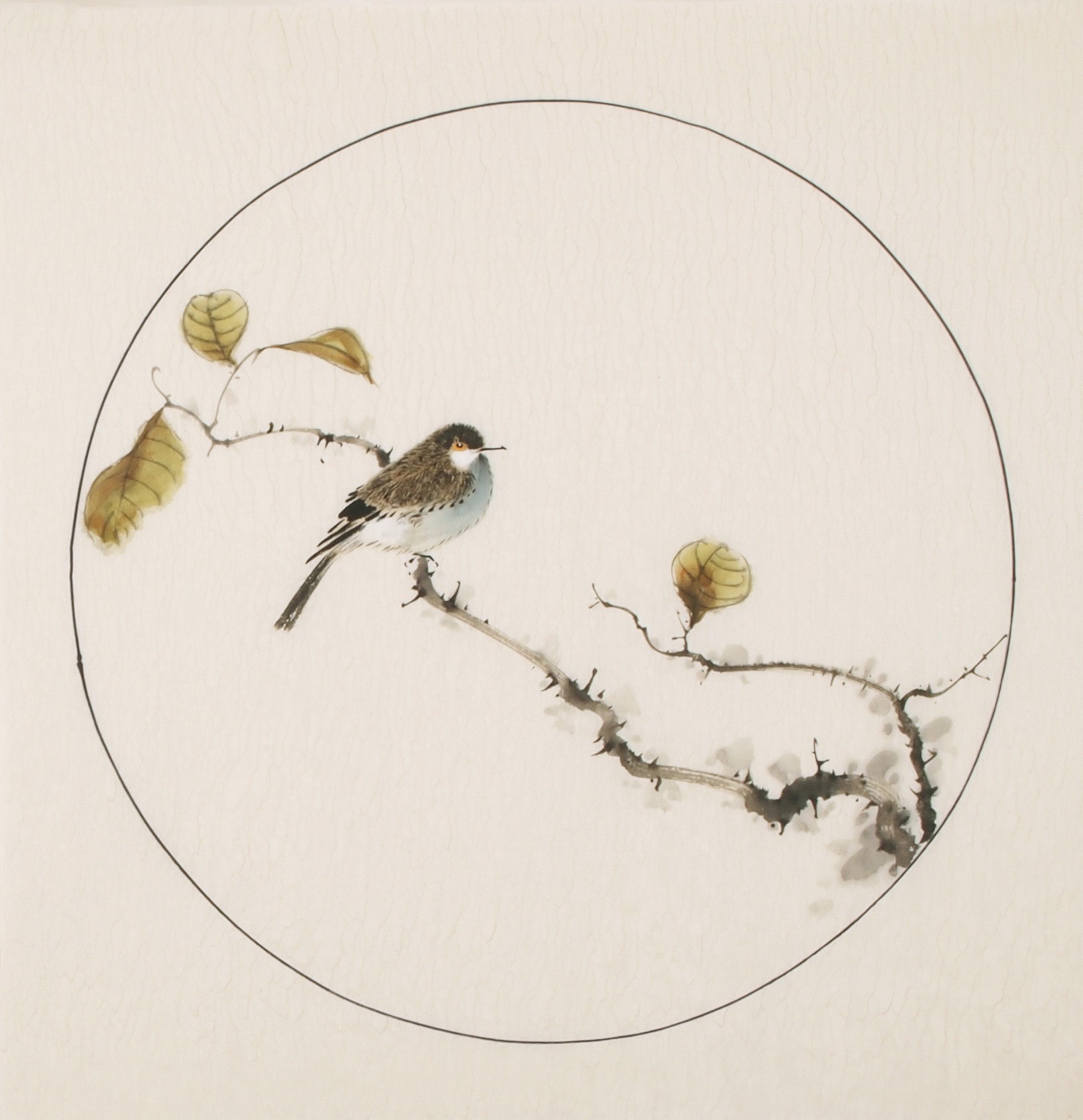 Other Birds - CNAG005995