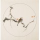 Other Birds - CNAG005996
