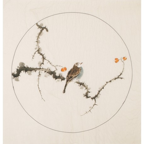 Other Birds - CNAG005996