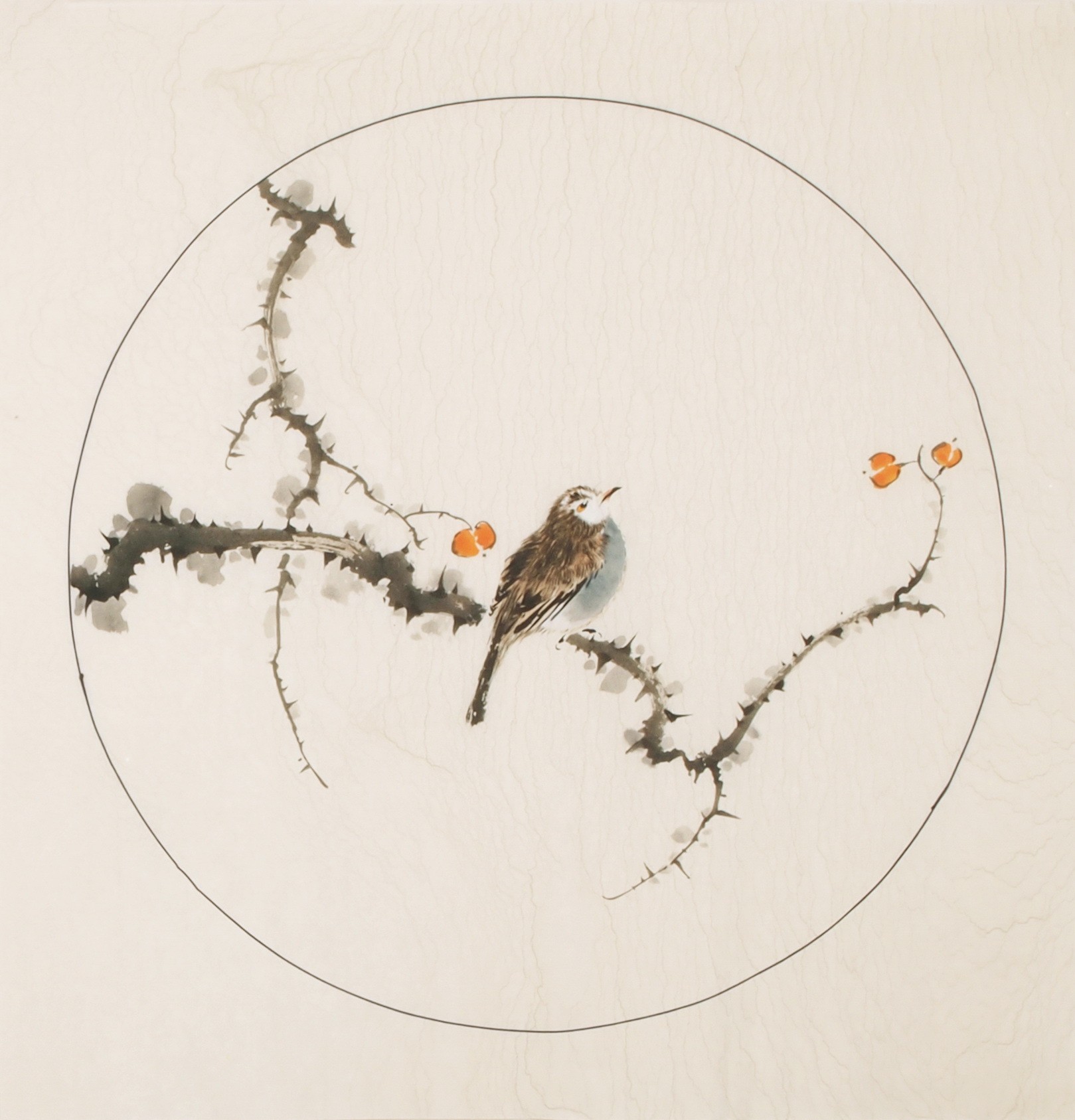 Other Birds - CNAG005996