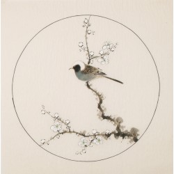 Other Birds - CNAG005997
