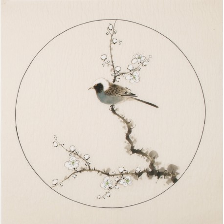 Other Birds - CNAG005997
