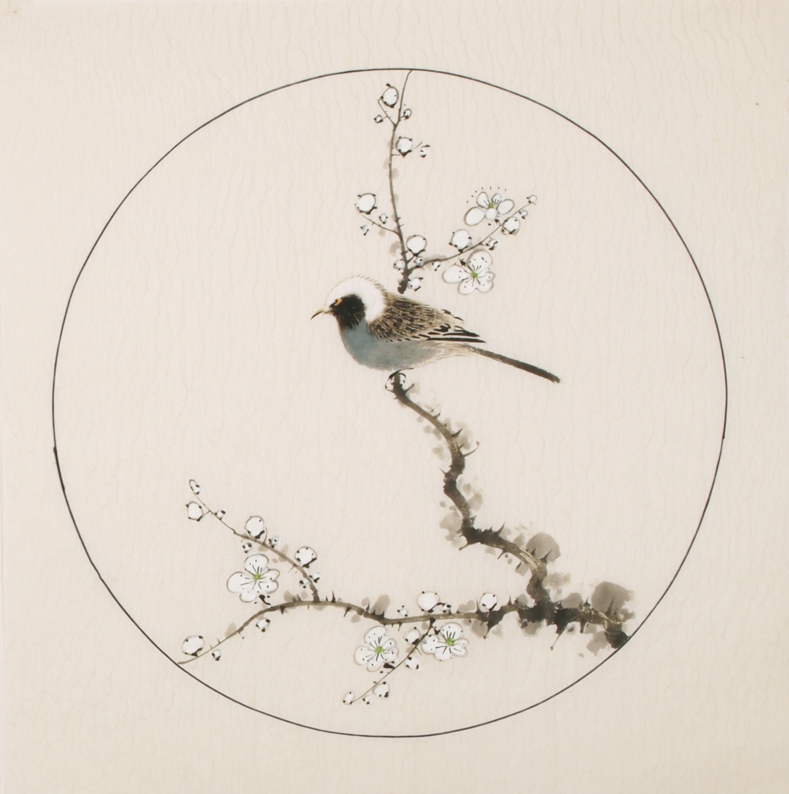 Other Birds - CNAG005997