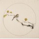 Other Birds - CNAG005998