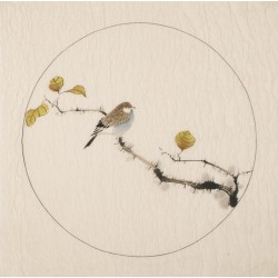 Other Birds - CNAG005998