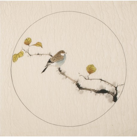 Other Birds - CNAG005998