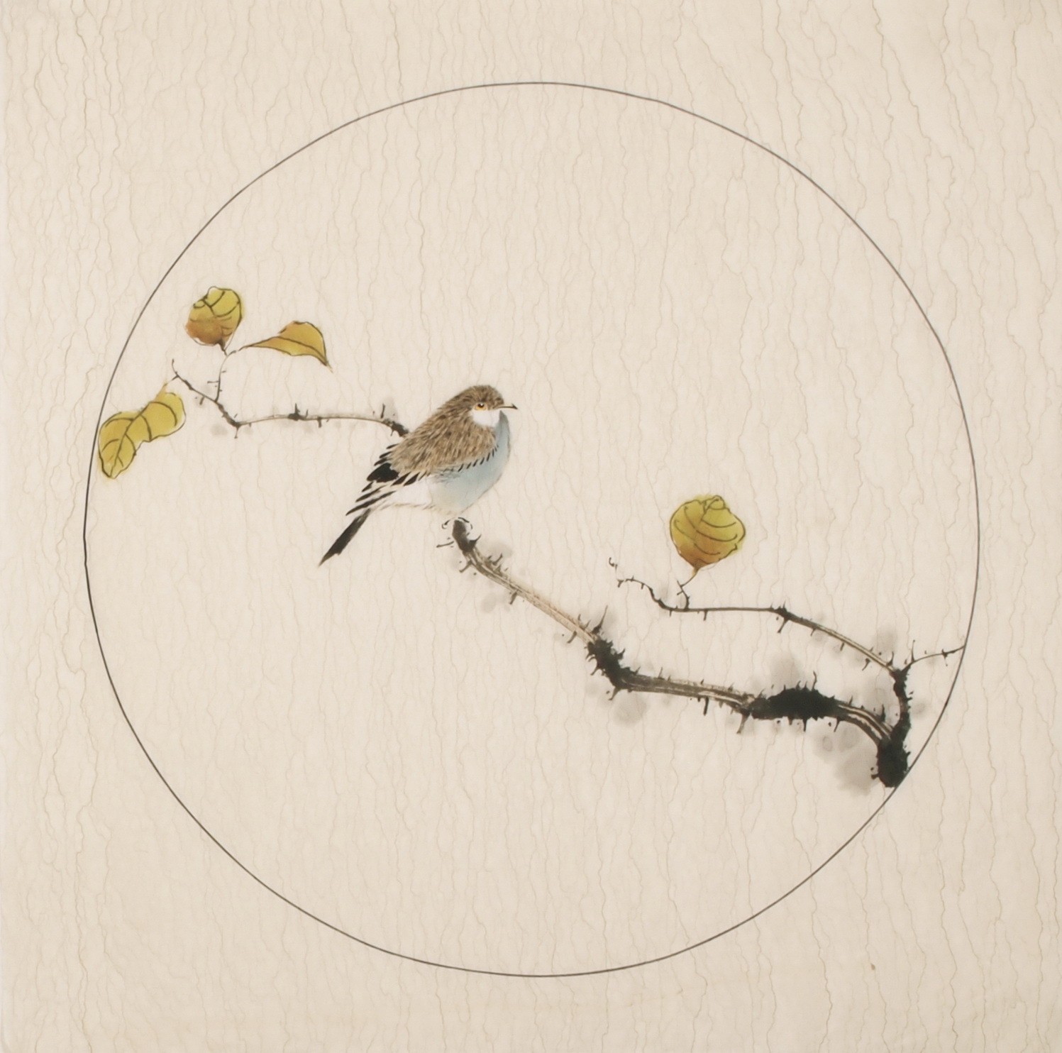 Other Birds - CNAG005998