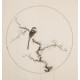 Other Birds - CNAG005999