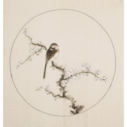 Other Birds - CNAG005999