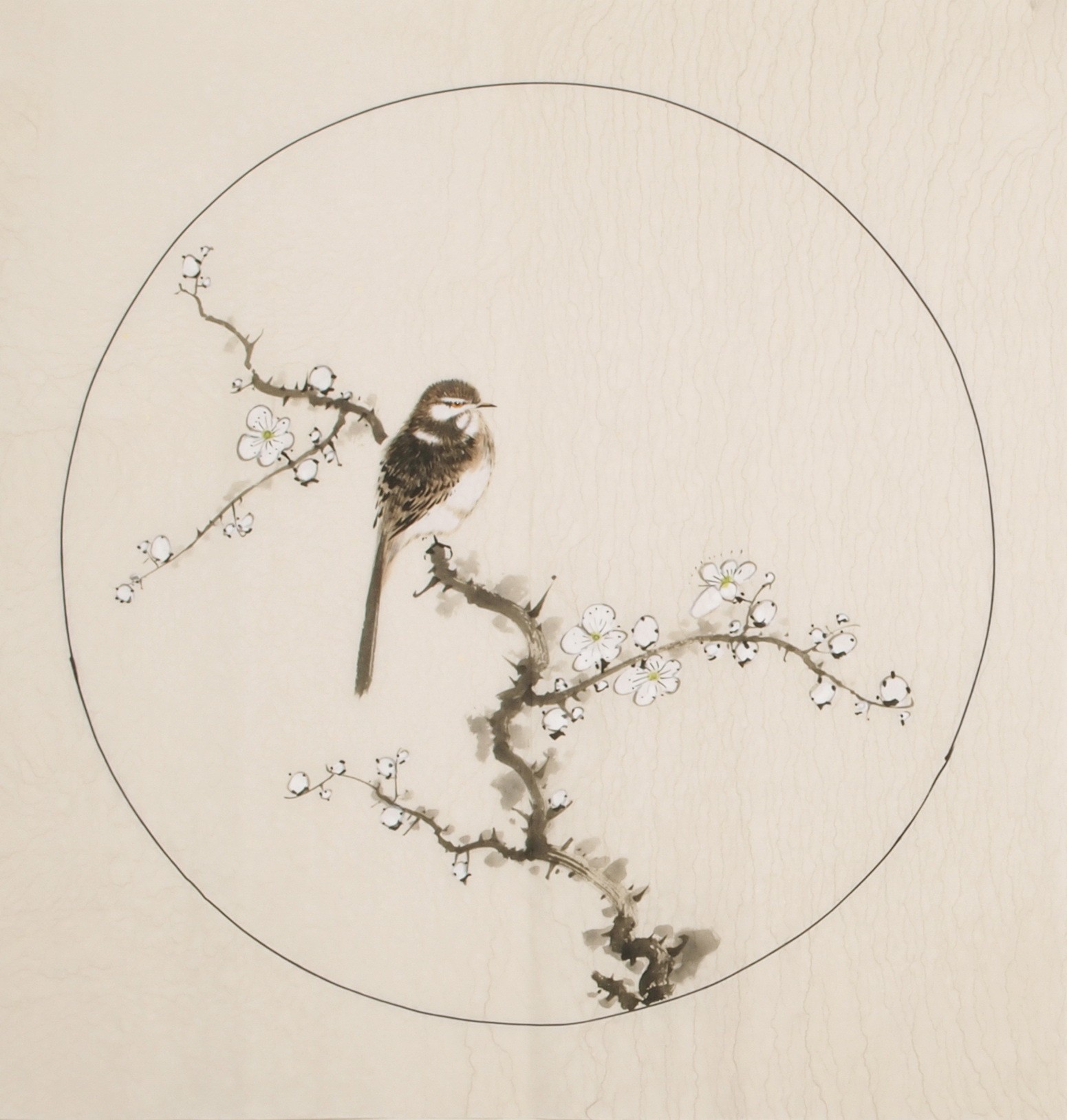 Other Birds - CNAG005999