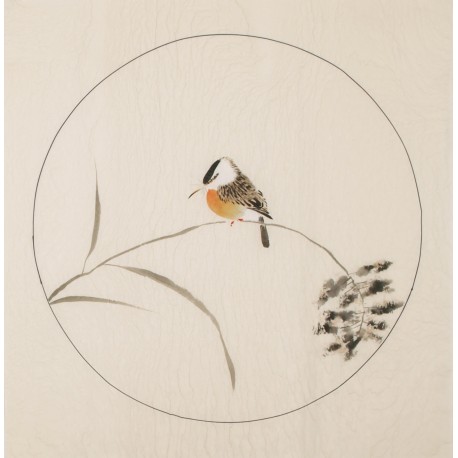 Other Birds - CNAG006001