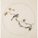 Other Birds - CNAG006004