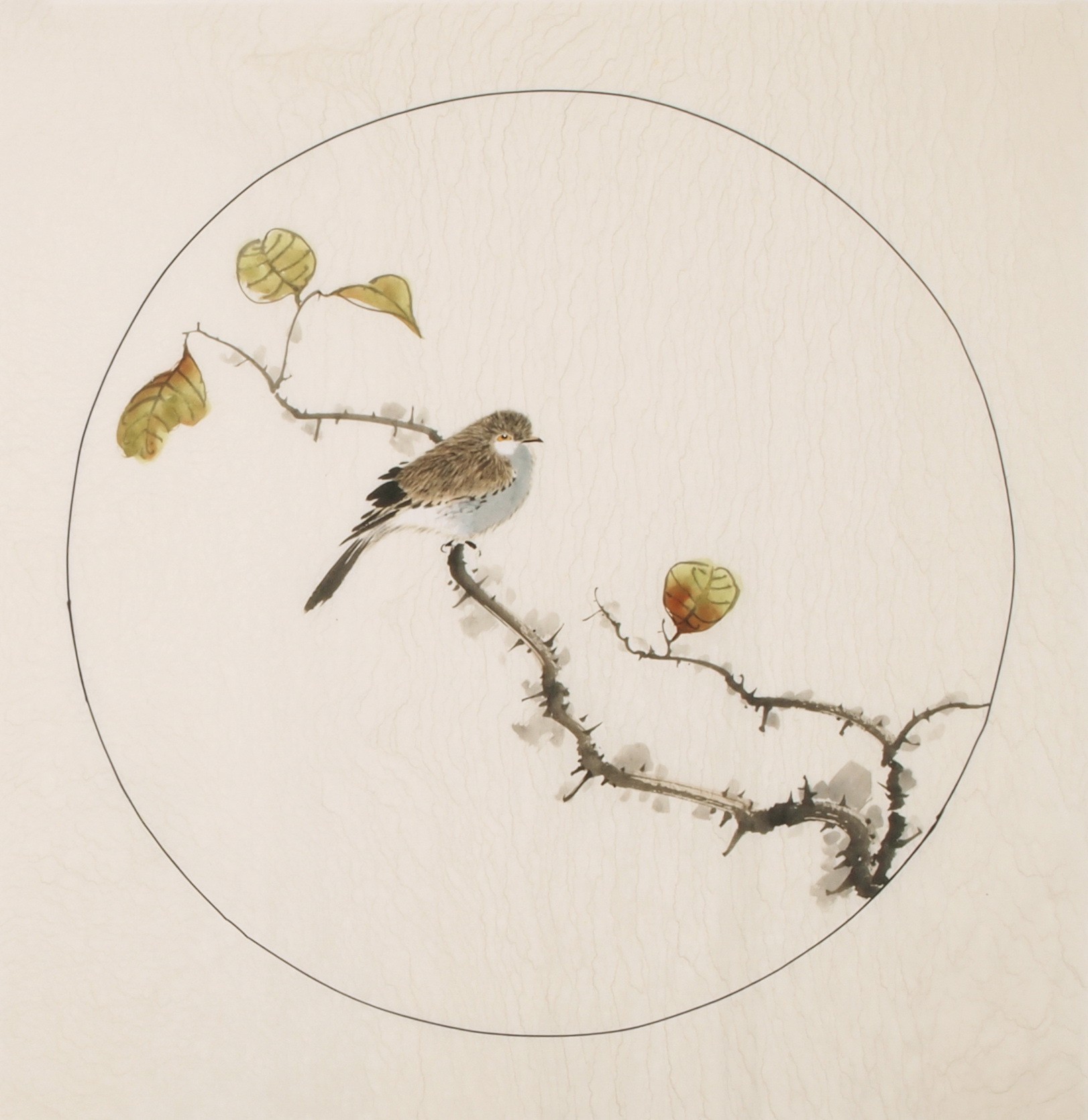 Other Birds - CNAG006004