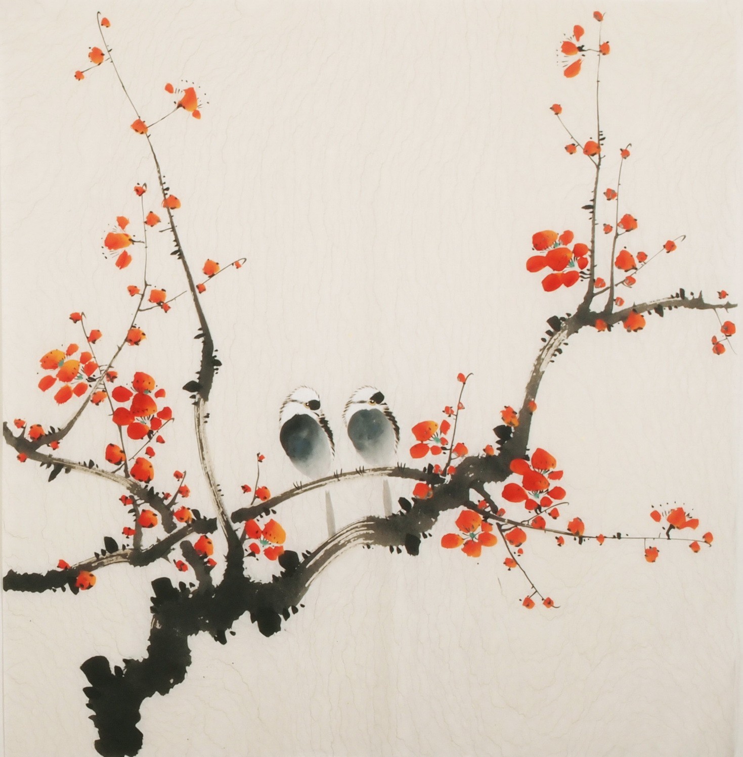 Plum - CNAG006005
