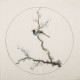 Plum - CNAG006006