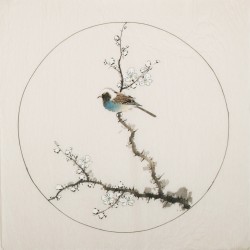 Plum - CNAG006006
