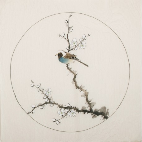 Plum - CNAG006006