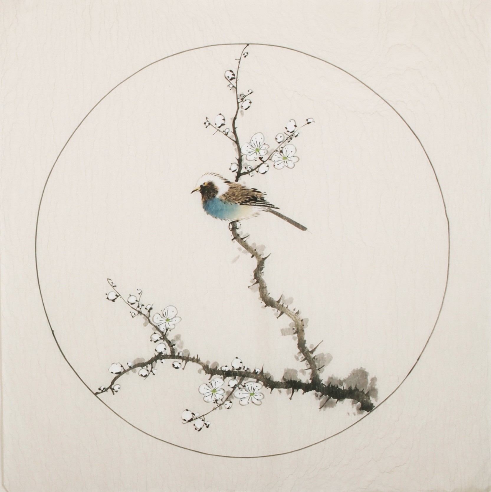 Plum - CNAG006006