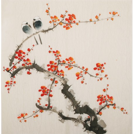 Plum - CNAG006009