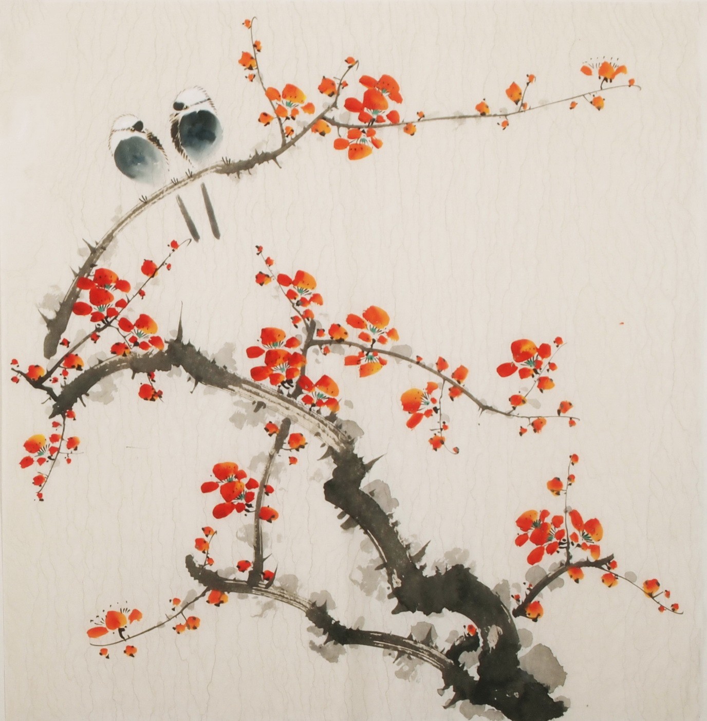 Plum - CNAG006009