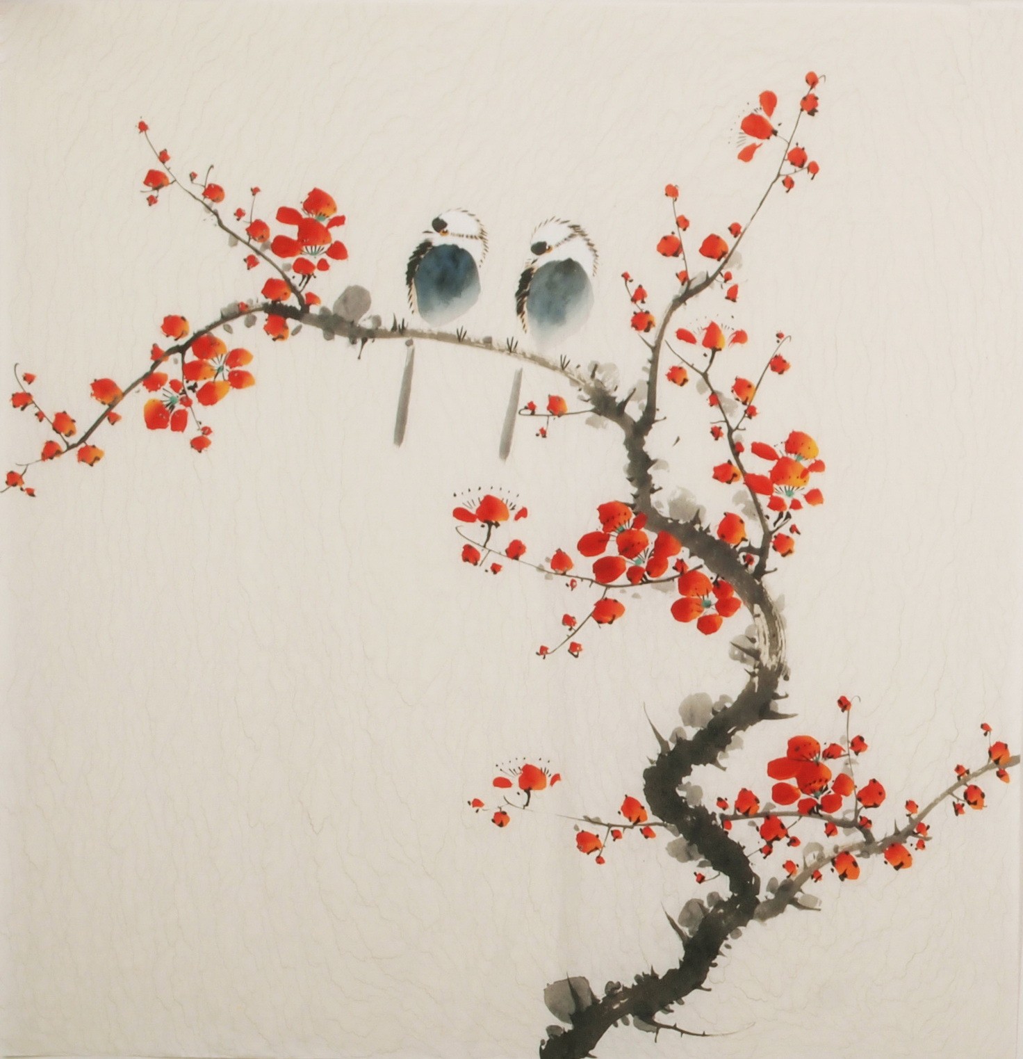 Plum - CNAG006010