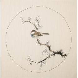 Plum - CNAG006011