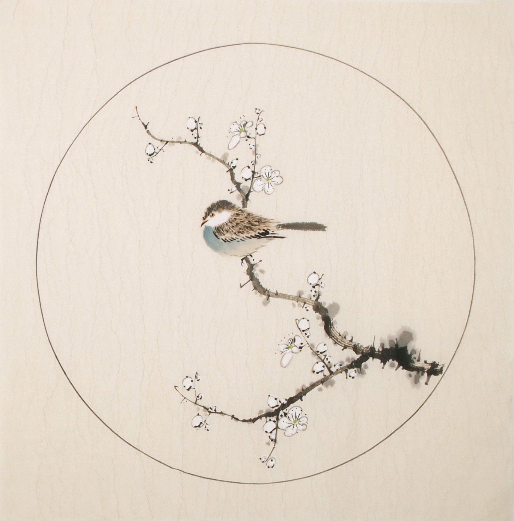 Plum - CNAG006011