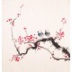 Plum - CNAG006012