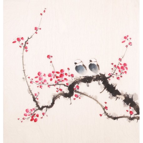 Plum - CNAG006012