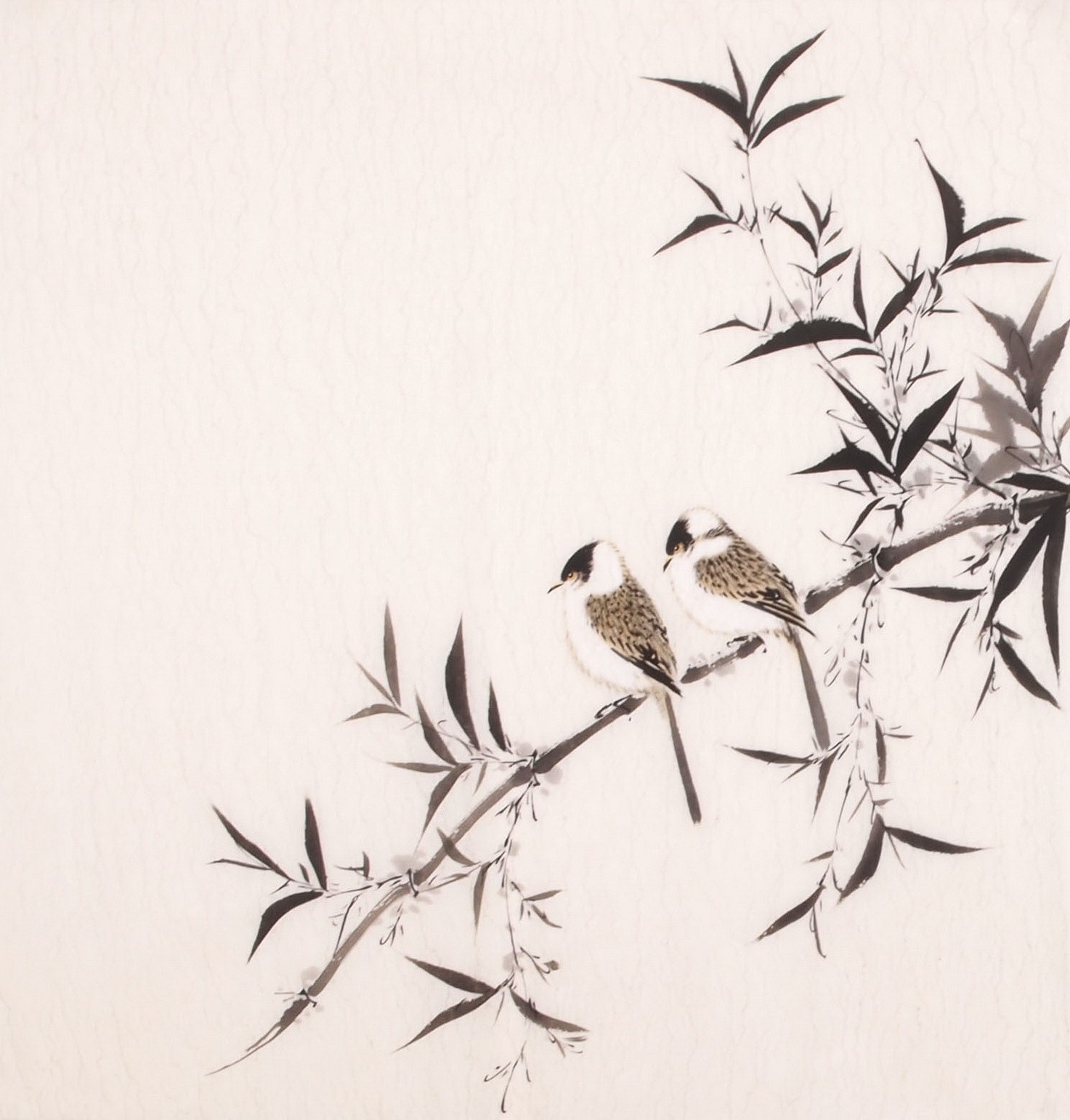 Ink Bamboo - CNAG006013