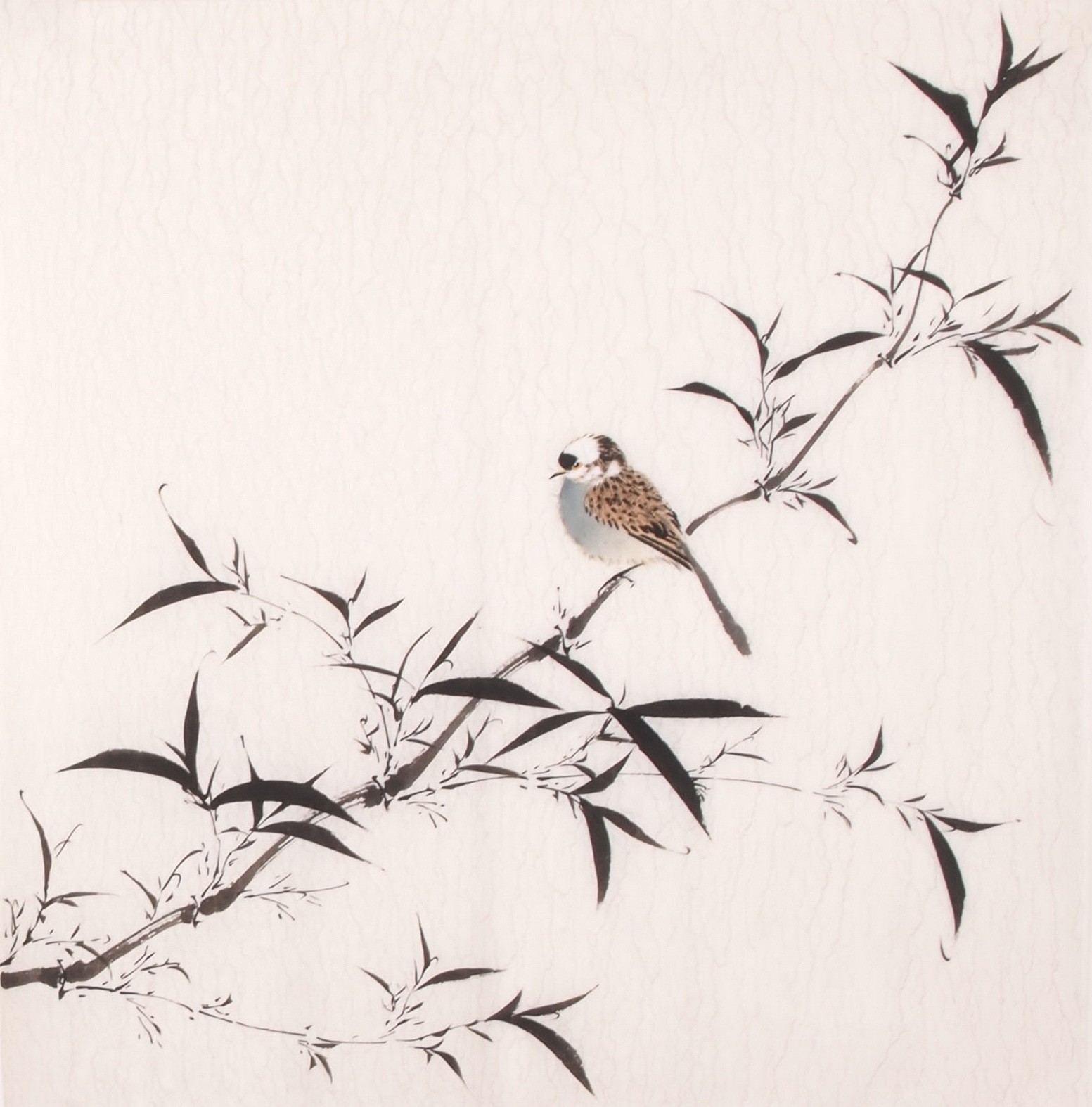 Ink Bamboo - CNAG006014