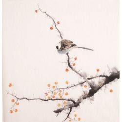 Other Birds - CNAG006016
