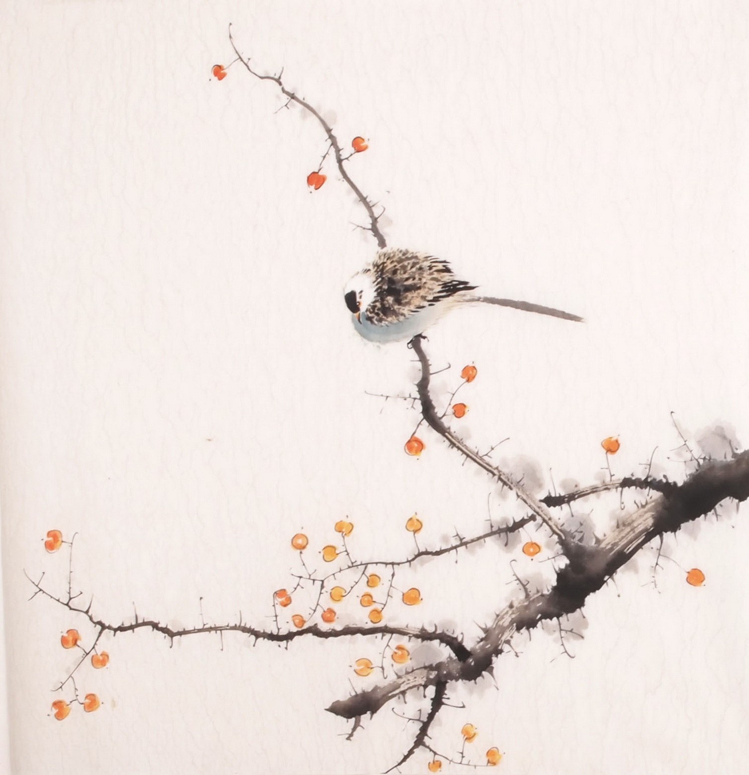 Other Birds - CNAG006016