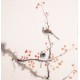 Other Birds - CNAG006018