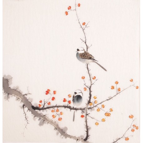Other Birds - CNAG006018