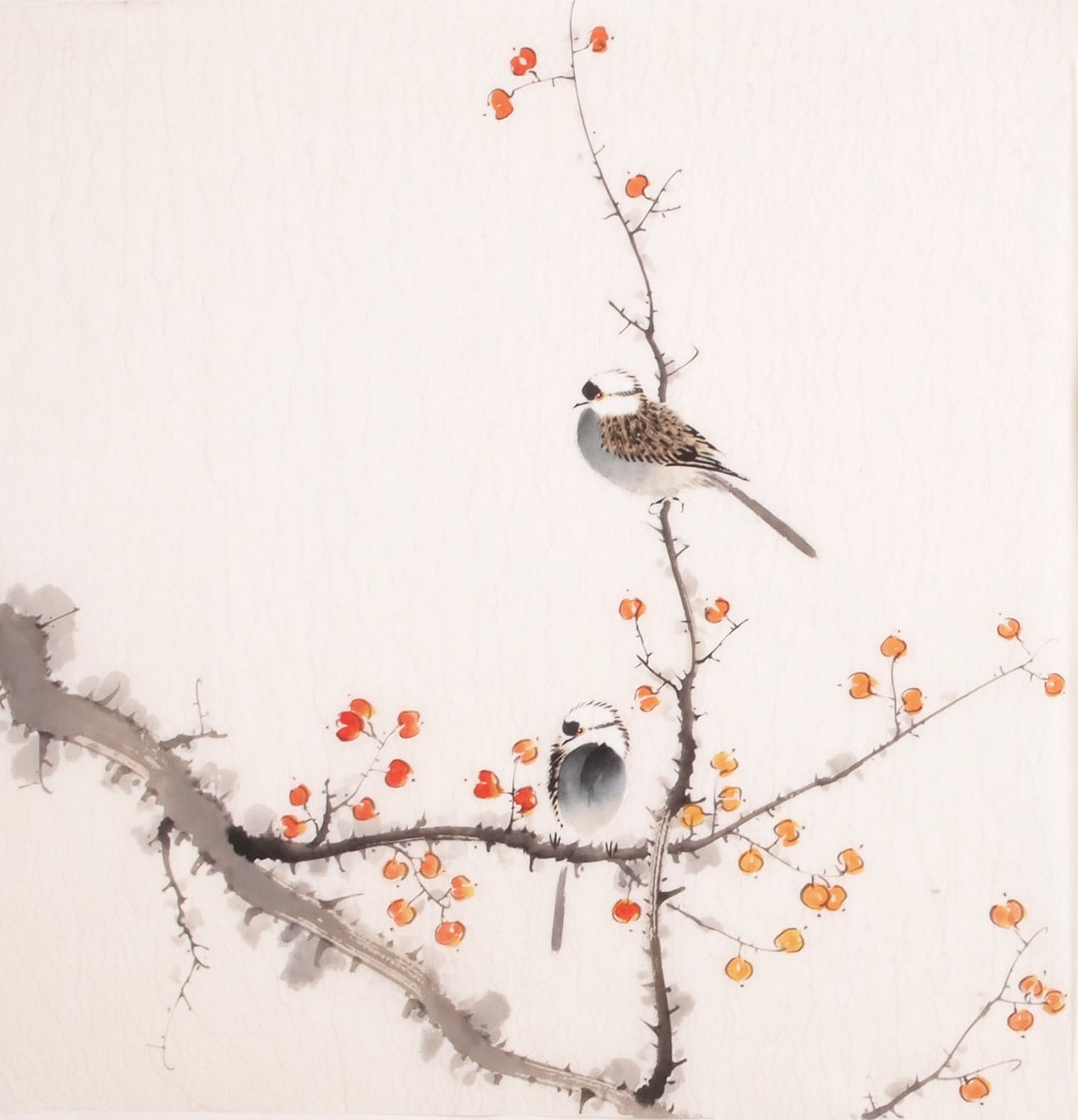 Other Birds - CNAG006018