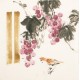 Other Birds - CNAG006022