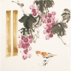 Other Birds - CNAG006022