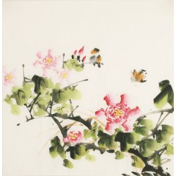 Other Birds - CNAG006024