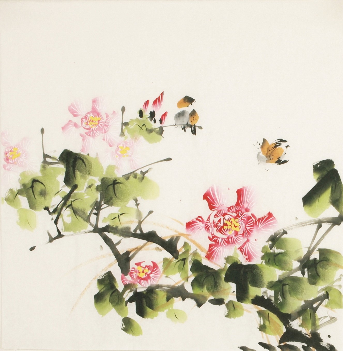 Other Birds - CNAG006024