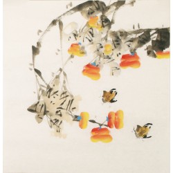 Other Birds - CNAG006029