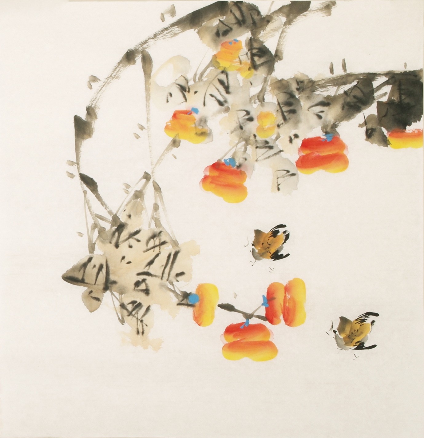 Other Birds - CNAG006029