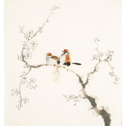 Other Birds - CNAG006031