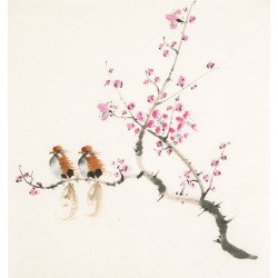 Other Birds - CNAG006032