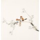 Other Birds - CNAG006034