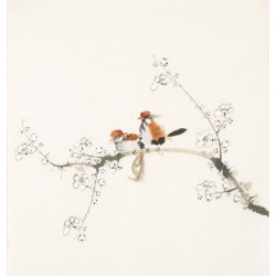 Other Birds - CNAG006034